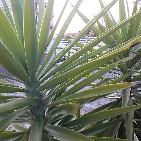 公寓 A&a 比比涅