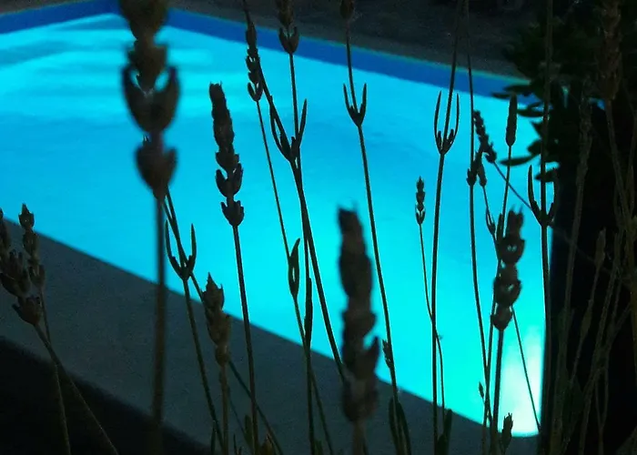 A&a Apartment